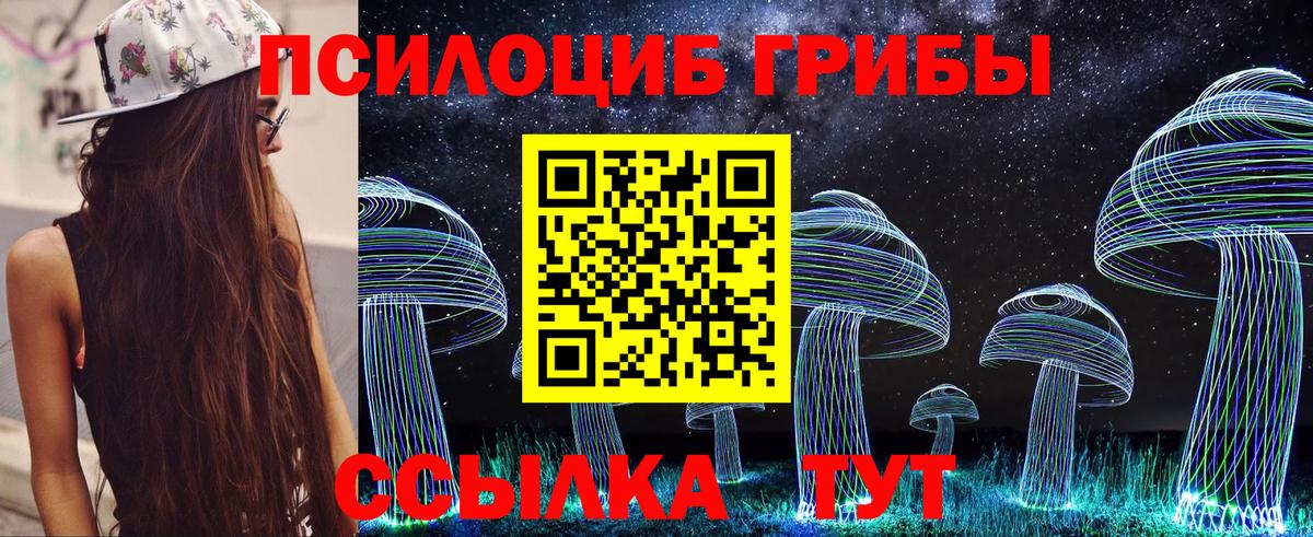 Железноводск  даркнет сайт  Вход с VPN  Галлюциногенные грибы GOLDEN TEACHER 